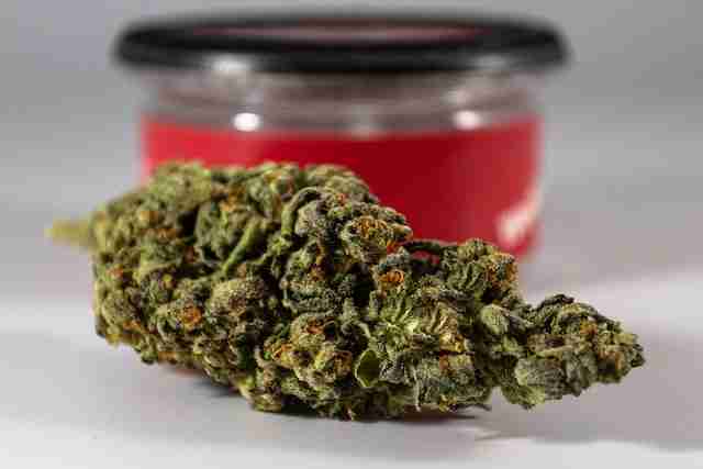 CBD Cannabis Bud